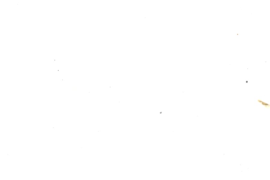 Image 89